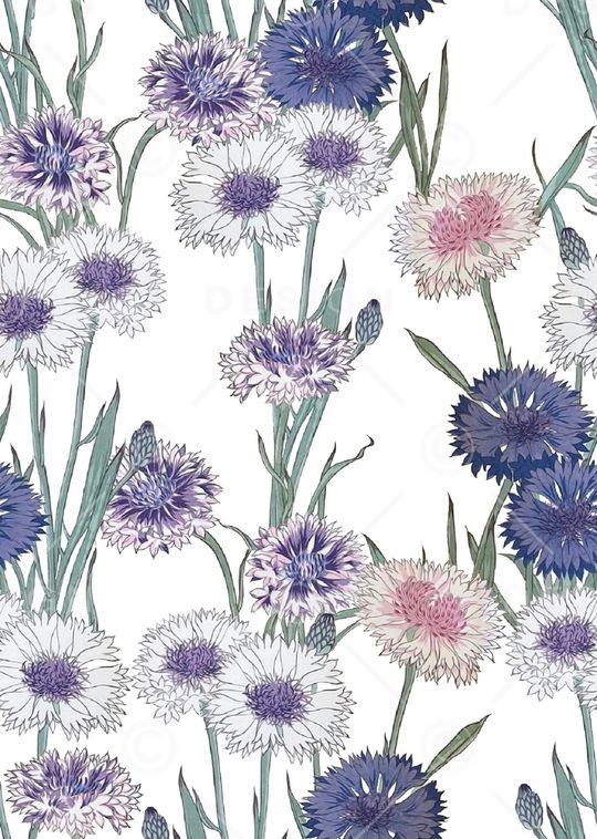 白底花印花华亿平台图片