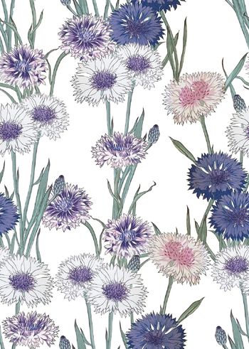 白底花印花华亿平台图片