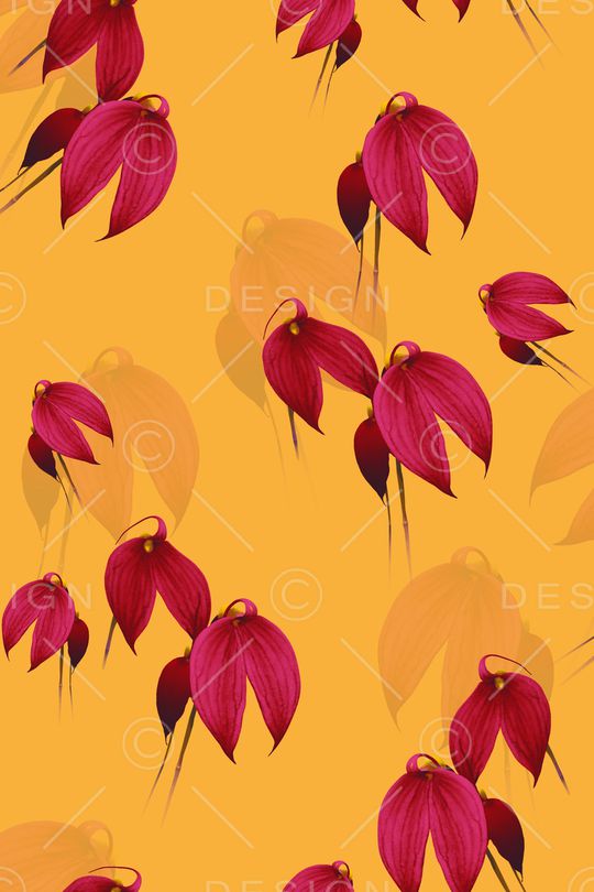 黑底花卉印花华亿平台图片