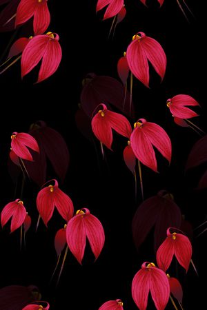 黑底花卉印花华亿平台图片