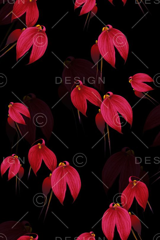 黑底花卉印花华亿平台图片