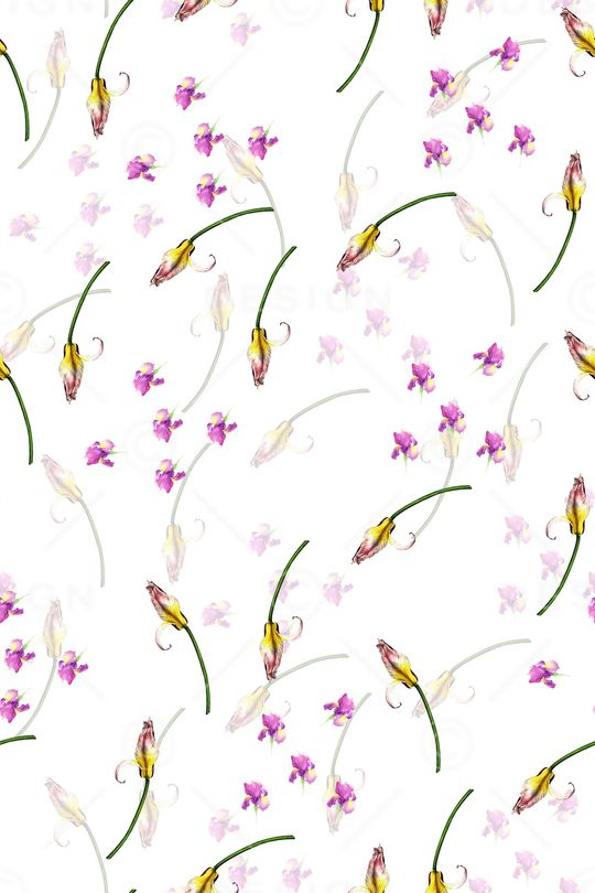 女装印花华亿平台图片