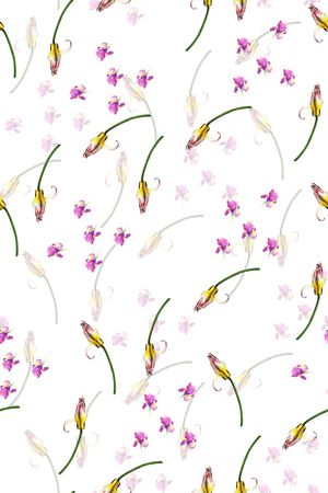 女装印花华亿平台图片