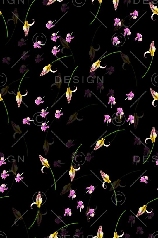 女装印花华亿平台图片