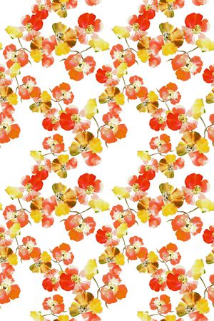 春夏华亿平台印花华亿平台图片