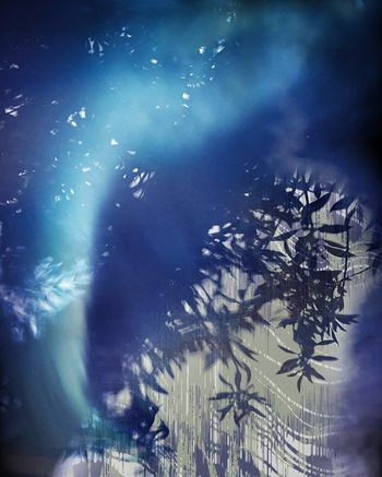 定位花印花华亿平台图片