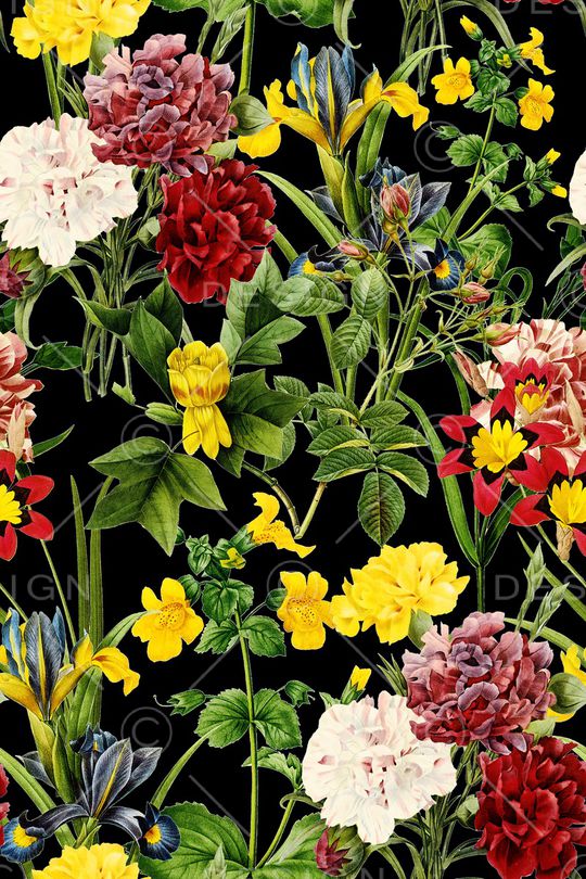 黑底花卉印花华亿平台图片