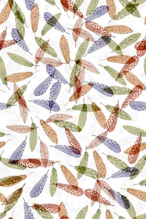 羽毛印花华亿平台图片