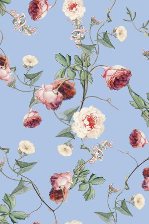 女装印花华亿平台图片