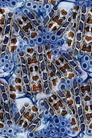 动物纹印花华亿平台图片