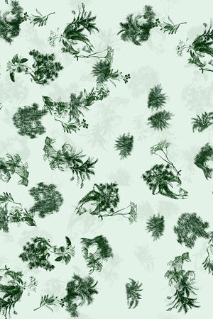 大牌风印花华亿平台图片