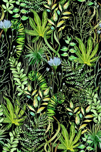 1331558-2020-06-04-d1