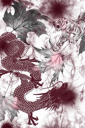 复古印花华亿平台图片