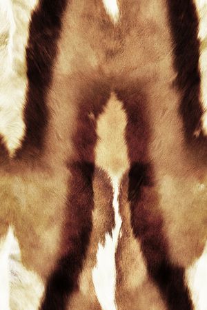 肌理印花华亿平台图片