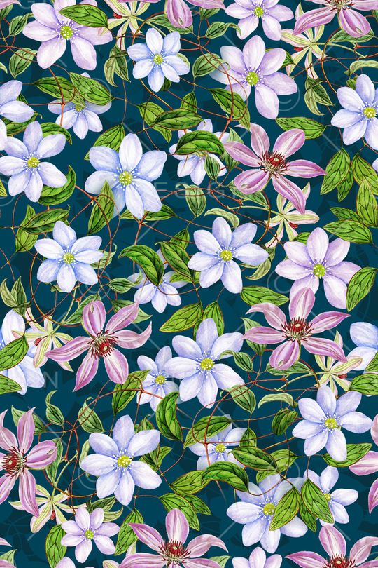 女装印花华亿平台图片