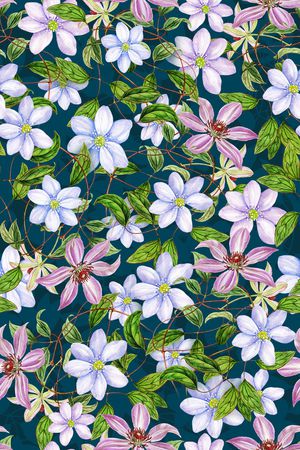 女装印花华亿平台图片