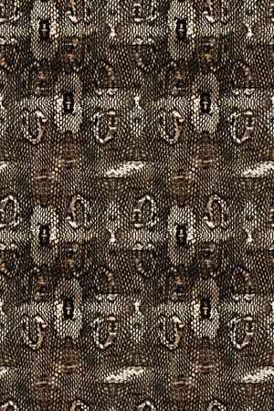 蛇纹印花华亿平台图片