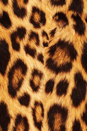 豹纹印花华亿平台图片