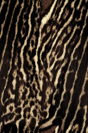 女装印花华亿平台图片