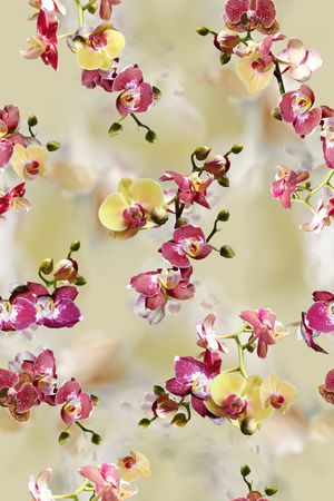 女装印花华亿平台图片