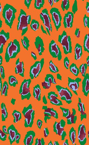 1335349-200616豹纹