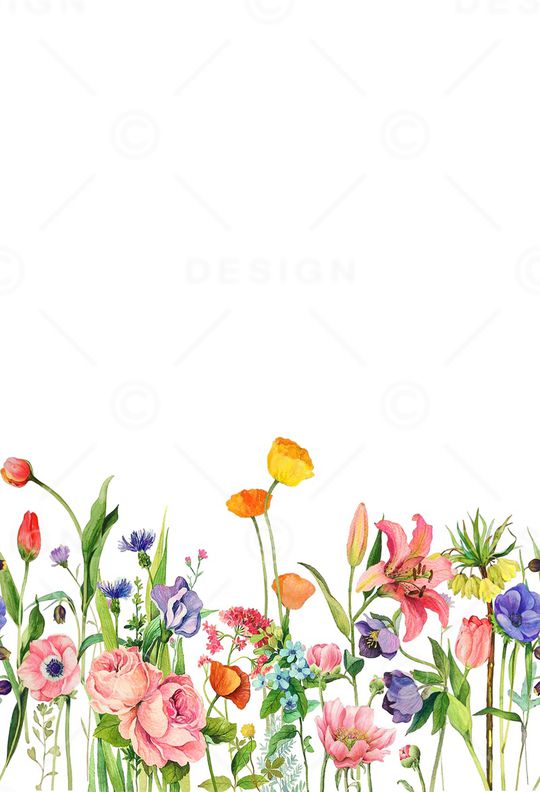 女装定位花印花华亿平台图片