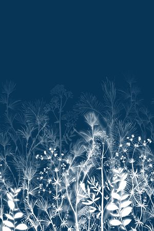 植物印花华亿平台图片