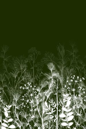 植物印花华亿平台图片