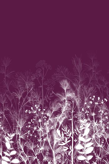 1336758-2020-06-21-C2