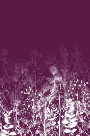 植物印花华亿平台图片