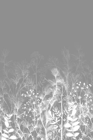 植物印花华亿平台图片