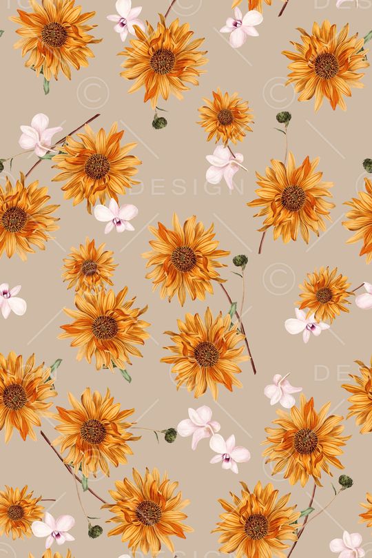 菊花印花华亿平台图片