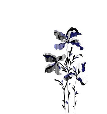 1338480-2019-11-07-1