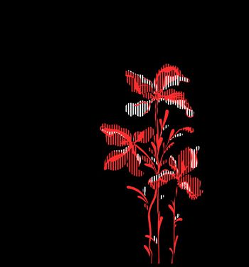 1338481-2019-11-07-2