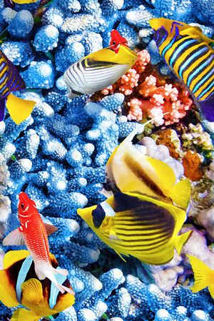 女装印花华亿平台图片