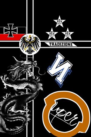 龙印花华亿平台图片