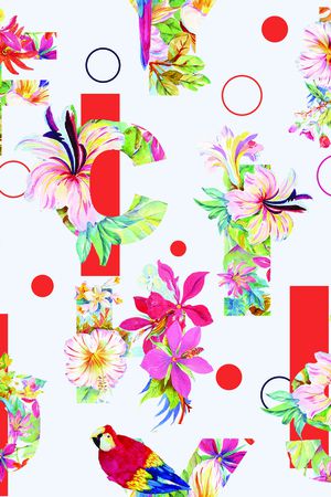 鹦鹉印花华亿平台图片