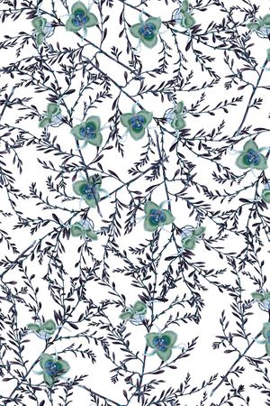 大牌风印花华亿平台图片