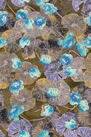 1339835-20-05-18-2 副本