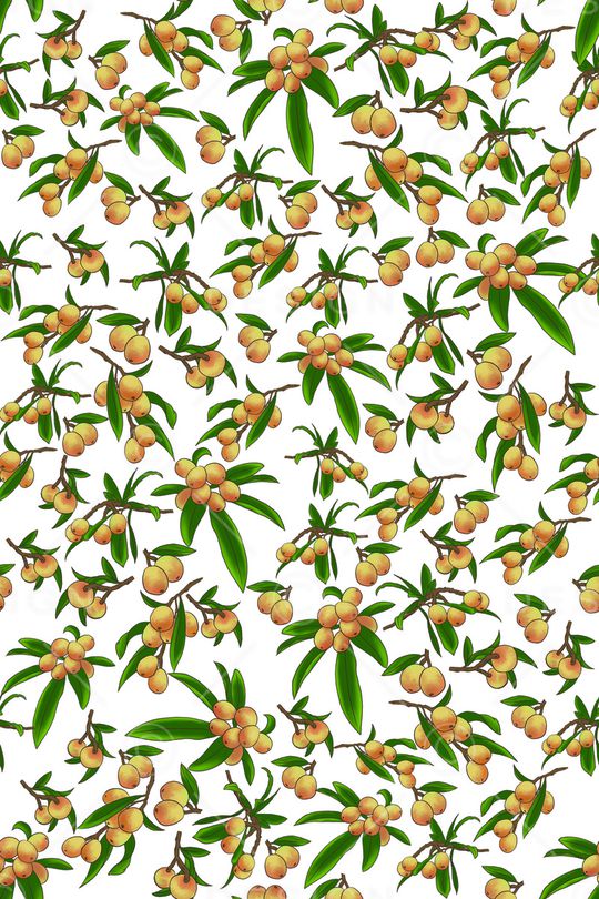 植物印花华亿平台图片