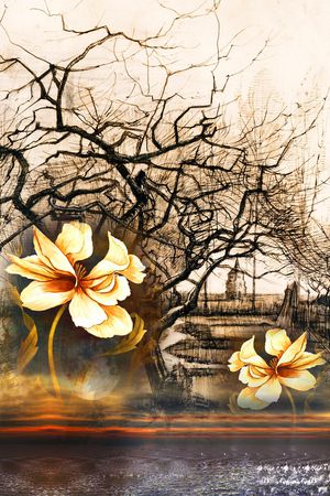 定位花印花华亿平台图片