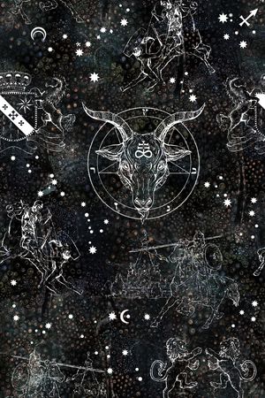 动物印花华亿平台图片