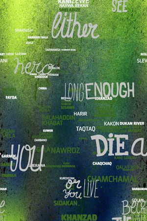 字母印花华亿平台图片