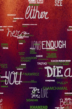 字母印花华亿平台图片