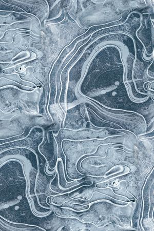 字母印花华亿平台图片