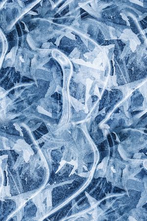 字母印花华亿平台图片