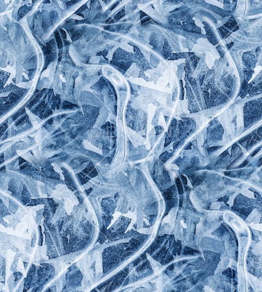 字母印花华亿平台图片