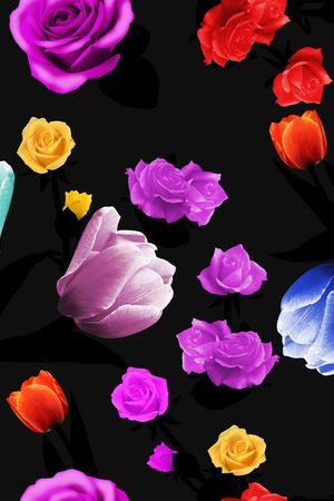 插画印花华亿平台图片