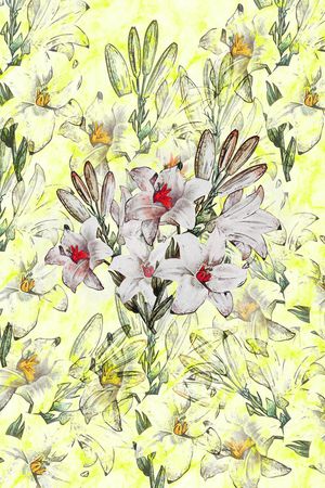 插画印花华亿平台图片