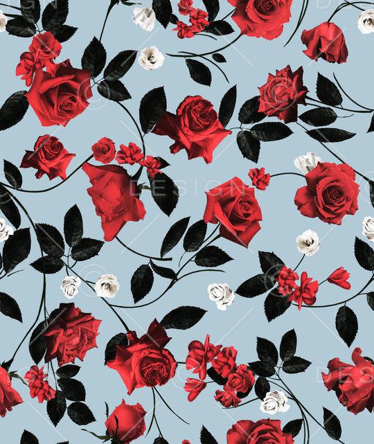 玫瑰花印花华亿平台图片